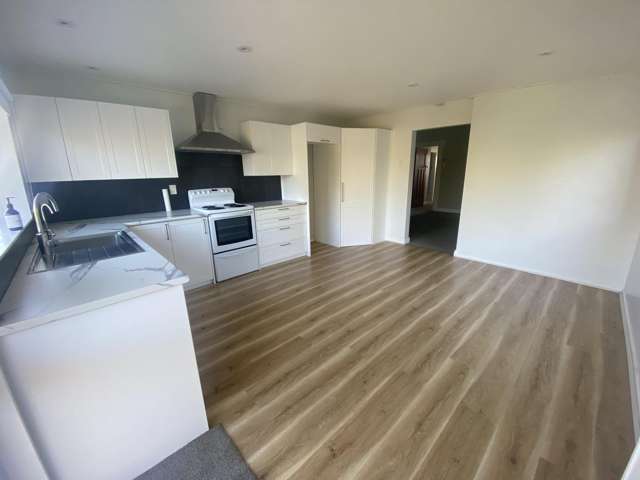 92 Allen Street Morrinsville_1