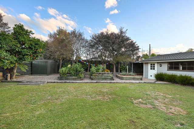 71B Hall Street 11373_4