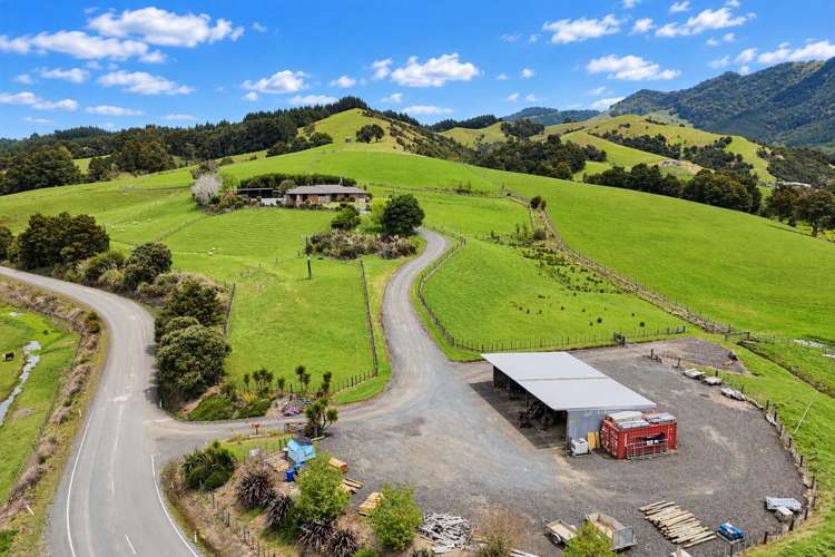 1488 Kirikopuni Valley Road_2