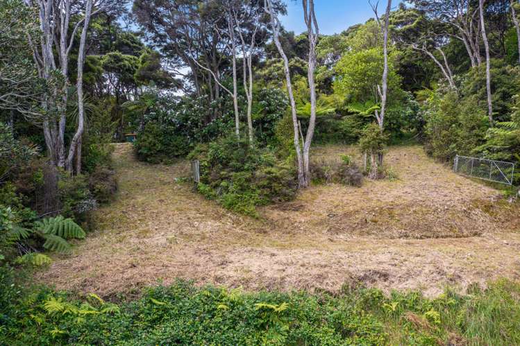 333 Cowes Bay Road Waiheke Island_2
