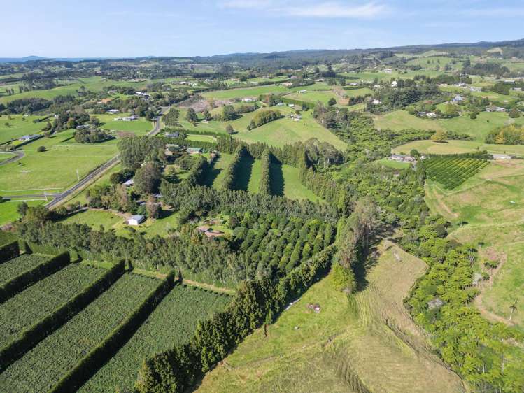 482B Esdaile Road Whakamarama_14