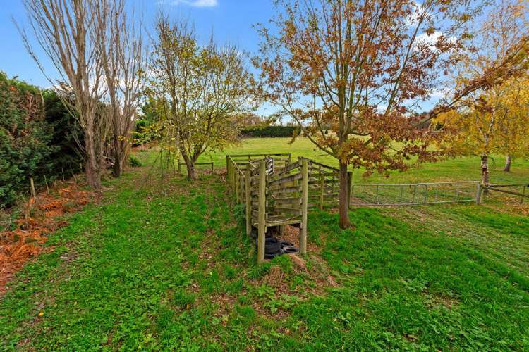 66 Coldstream Road Rangiora_22