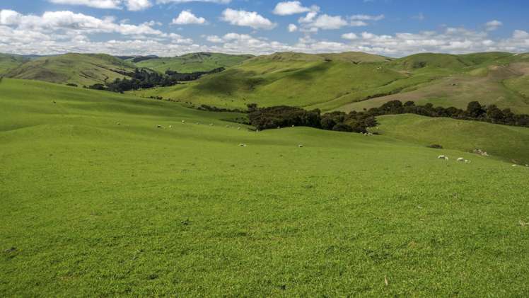 10284 Route 52 Pongaroa_19