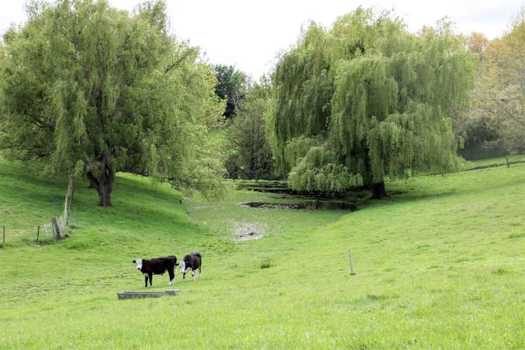 52 Rosebrook Road Claremont_16