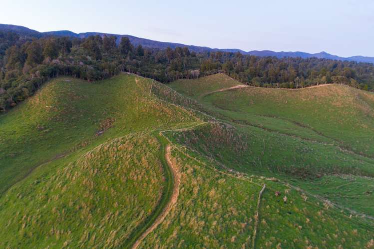 2/230 Clyde Road Burnside_6