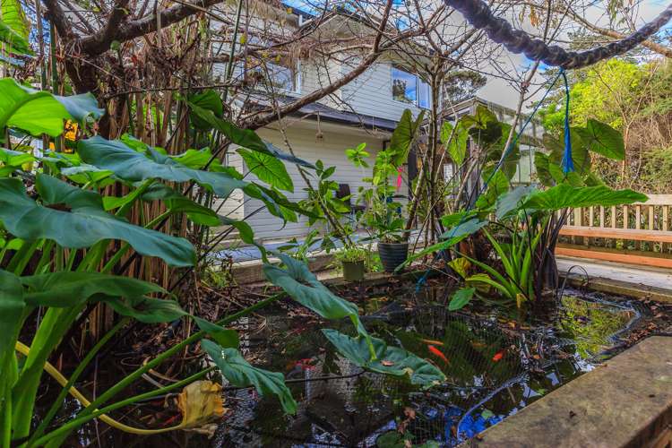 54 Gladys Avenue Glenfield_15