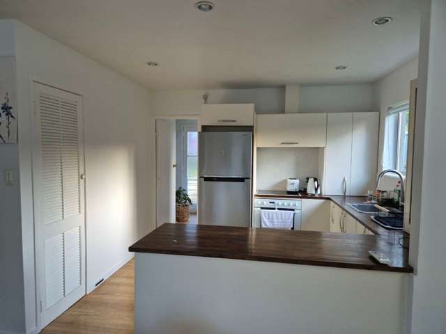 55 Allington Road Massey_3