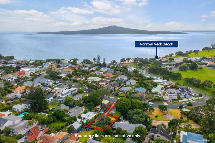 12 Handley Avenue Narrow Neck_16