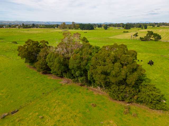 Budd Road Masterton_4