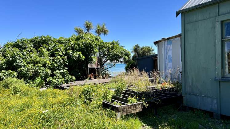 37 Nikau Road, State Highway 67 Hector_29
