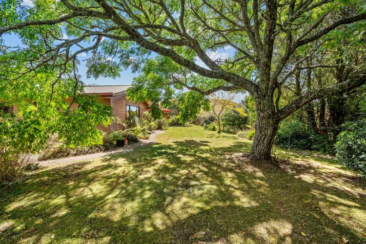 175 Hupara Road Pakaraka_19