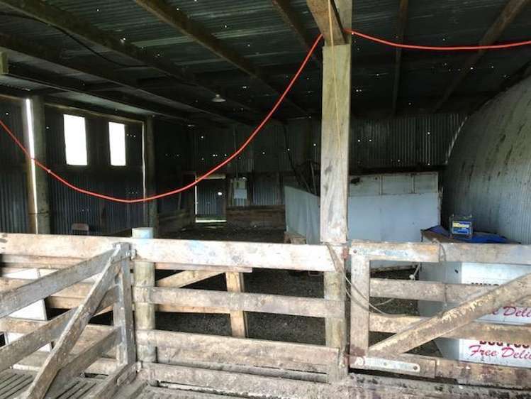 Ovens Road Matakohe_25