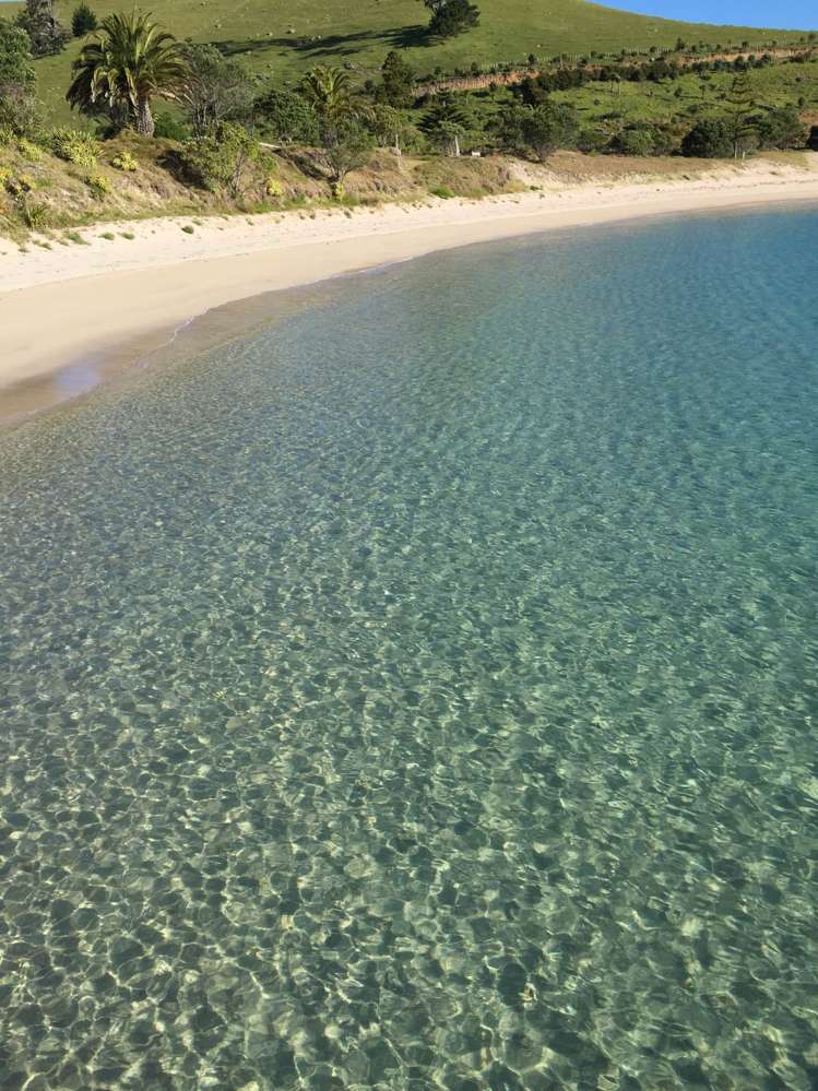 190 Pacific Ocean, Slipper Island (Whakahua) Thames_66