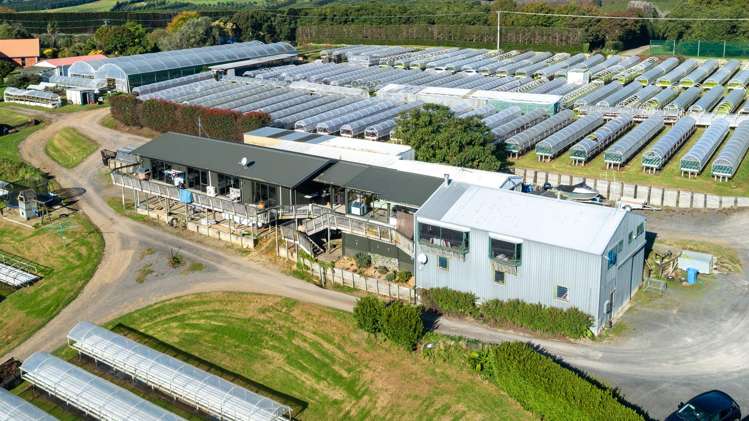 107 Ongare Point Road Katikati_5