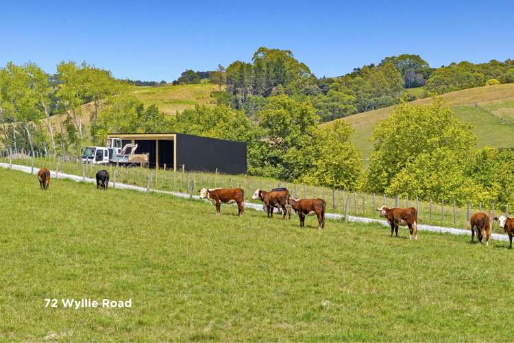 72 and 76 Wyllie Road Warkworth_5