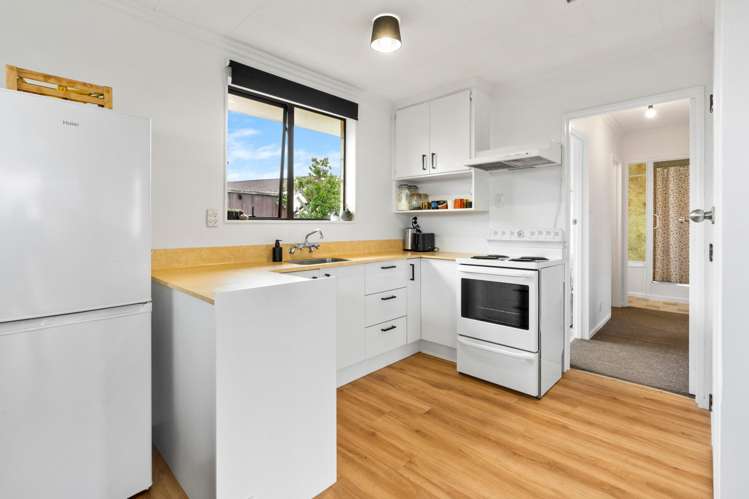 227E Oxford Street South Dunedin_6