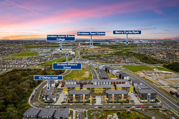 17 Dishys Road Flat Bush_20