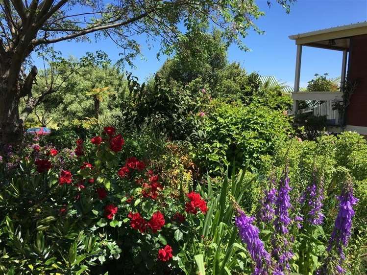 48 Aiken Road Saint Johns Hill_15