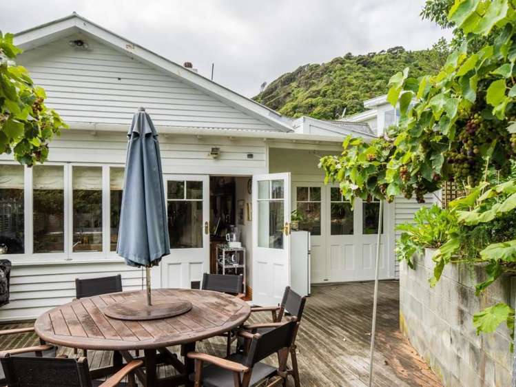 22 Nikau Street Eastbourne_13