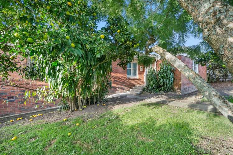 28 Marion Avenue Mt Roskill_12