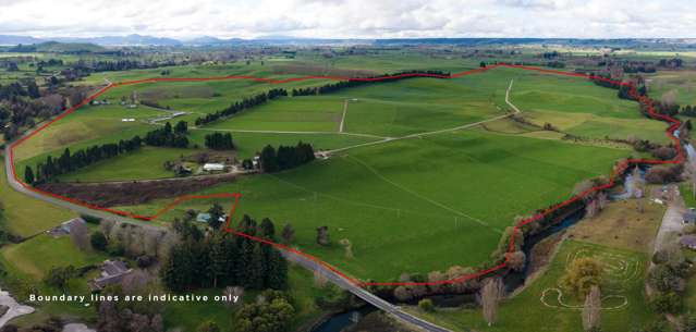 365 Halcrow Road Reporoa_1