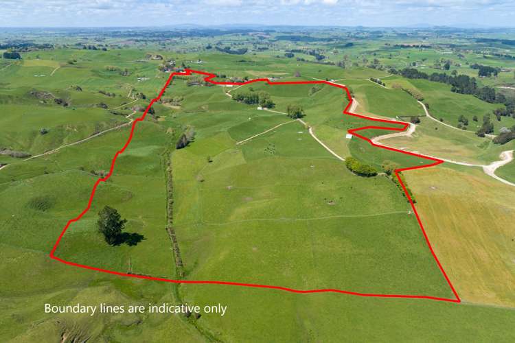 653 Overdale Road Putaruru_20