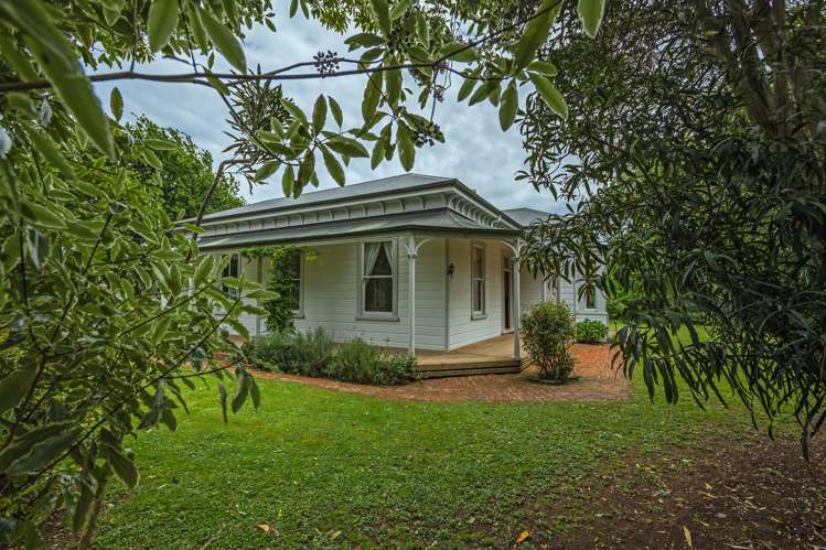 269 Cambridge Avenue Ashhurst_24