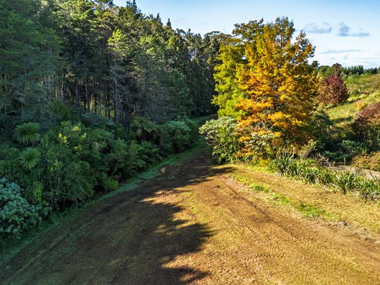 Lot 3/26 Tanekaha Lane_4