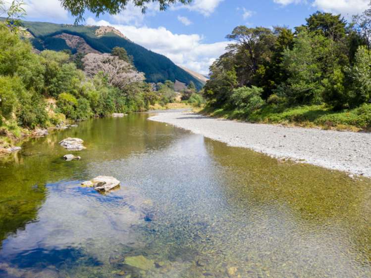 285 Tapps Road Havelock_3