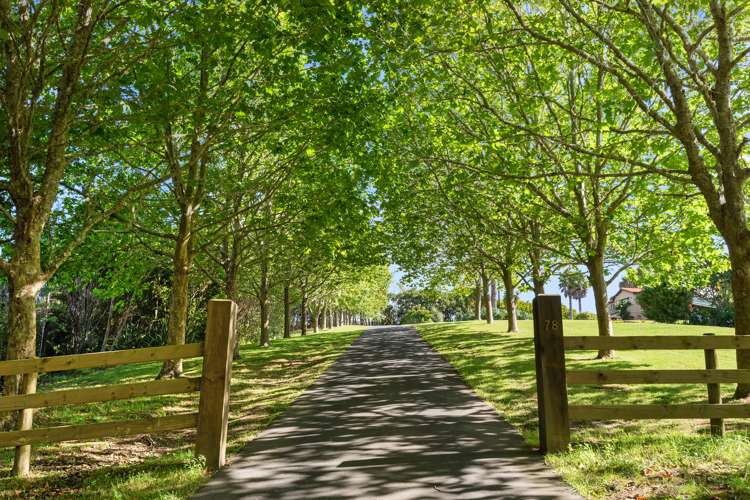 78 Glenmore Road Coatesville_1