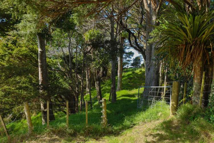 108a Green Hollows Road Puhoi_20