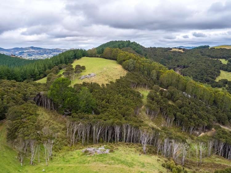 3160 Masterton Castlepoint Road Mangapakeha_13