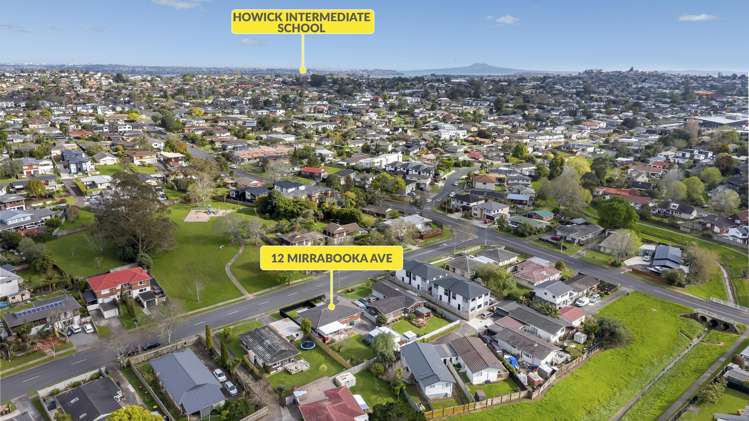 12 Mirrabooka Avenue Botany Downs_26