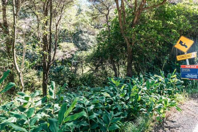 12 Obrien Road Omiha_3