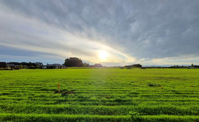 Copper Beech Estate Woodend_2