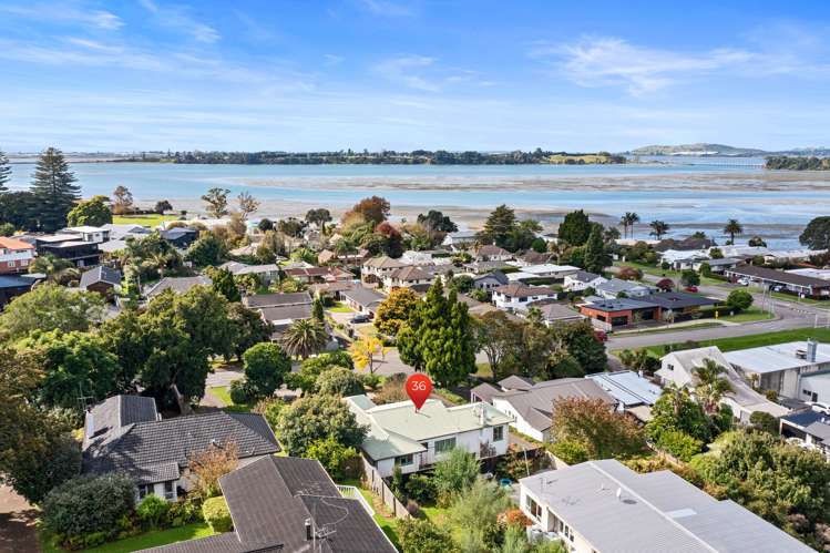 36 Fourteenth Avenue Tauranga South_13