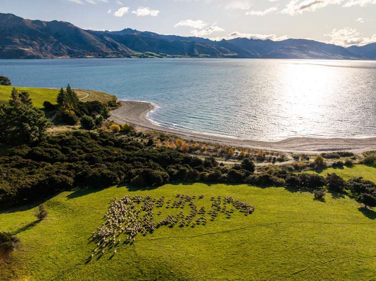 Lot 1, John's Creek Lake Hawea_17