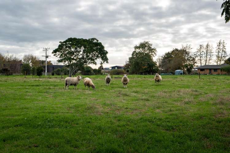 9 Herman Road Rukuhia_22