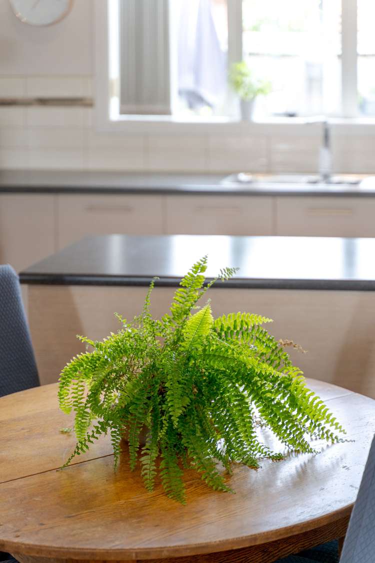 31 Ernest Gray Place Halswell_27