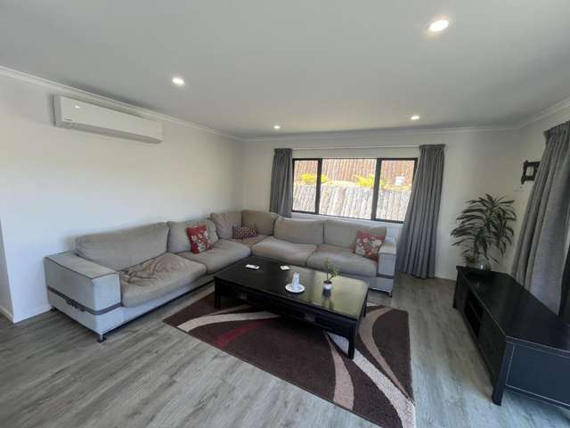 12 Whakawhiti Street Marfell_4