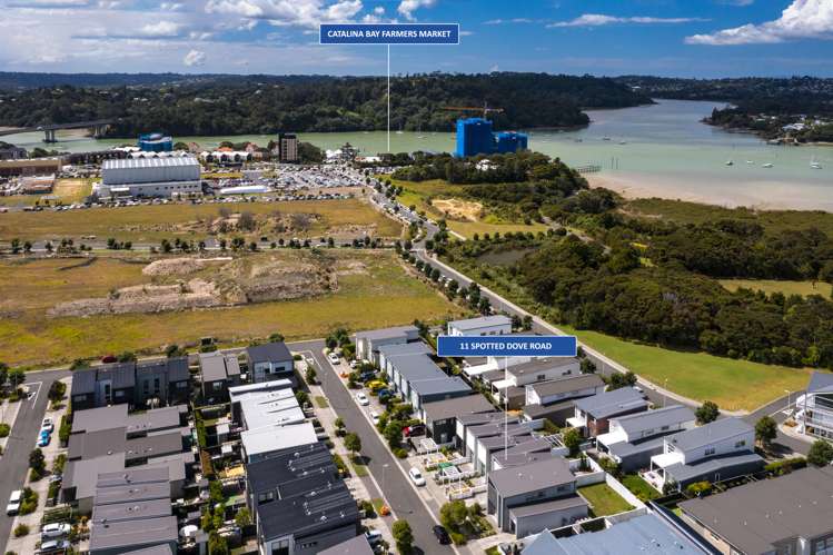 11 Spotted Dove Road Hobsonville_16