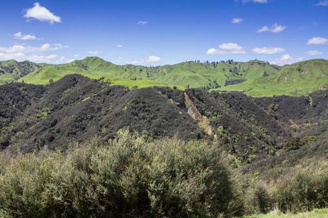 4064 State Highway 4 Kakatahi_2