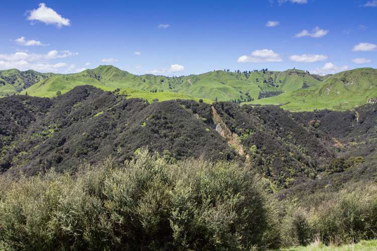 4064 State Highway 4 Kakatahi_2