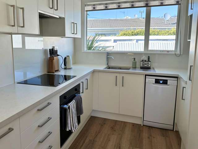 142 Weld Street Blenheim Central_2