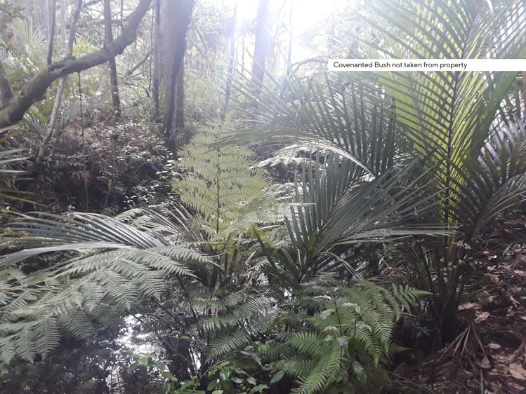 356 Tara Road Mangawhai_19