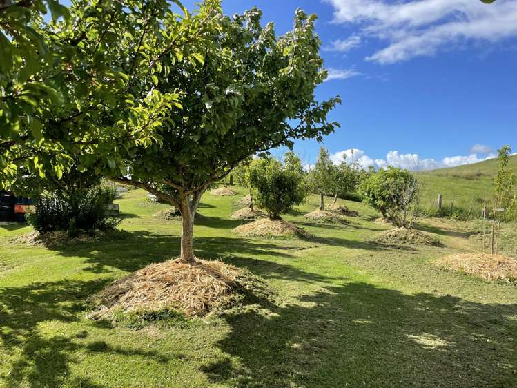 852 Oneriri Road Kaiwaka_59