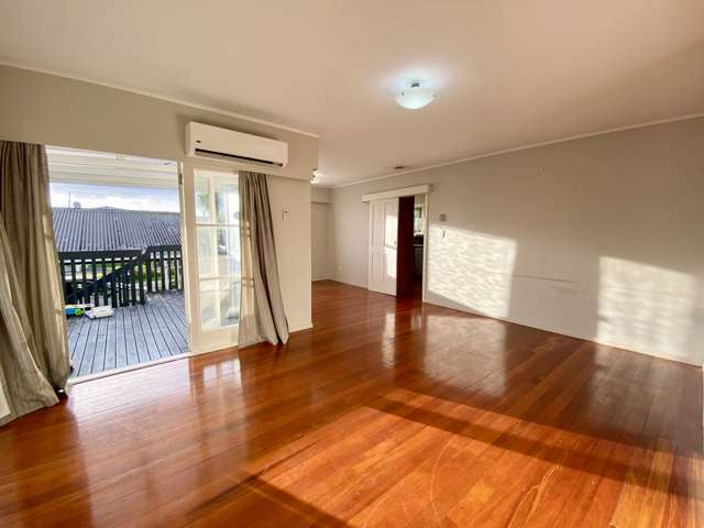 104 Webster Avenue Mount Roskill_1