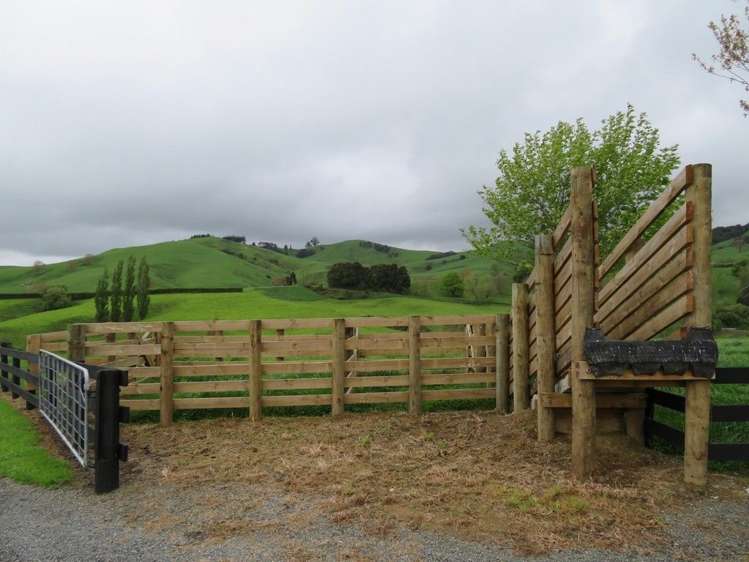 11 Dillon Road Rotoorangi_5