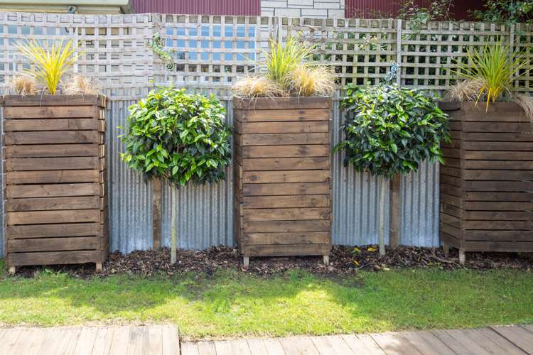 29 Philip Street Ashburton_5