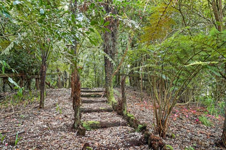 387 Tauranga Direct Road Hamurana_26